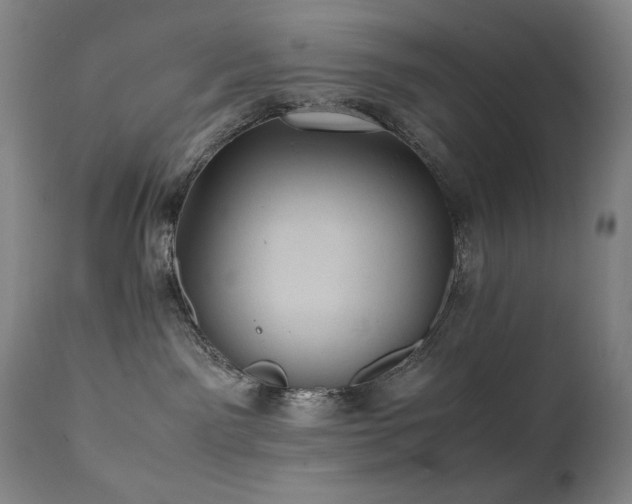 X0000112040141200908031526