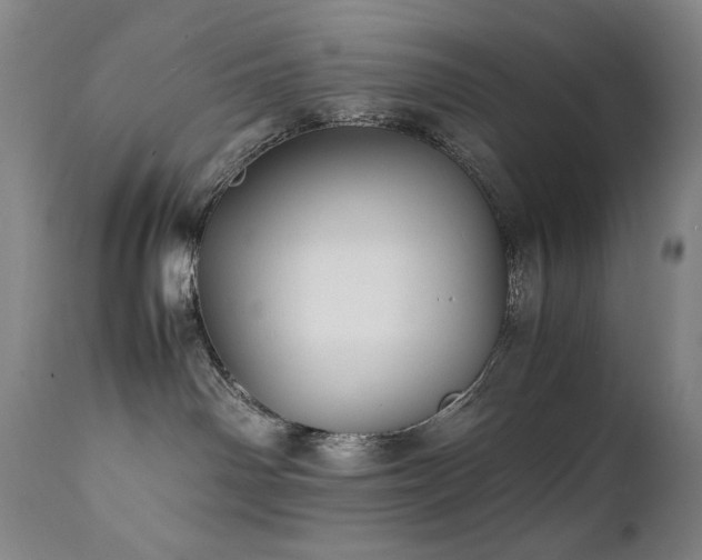 X0000112040142200908031526