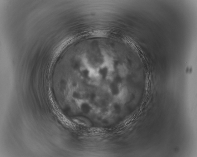 X0000112040145200908031525