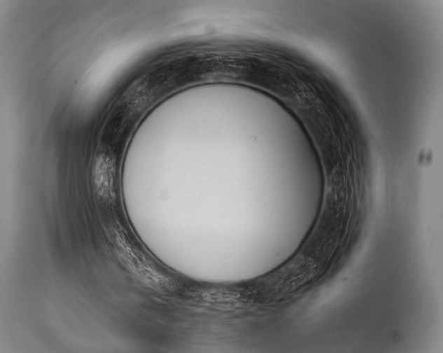 X0000112040146200908031525