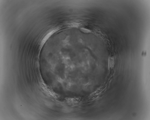 X0000112040147200908031525