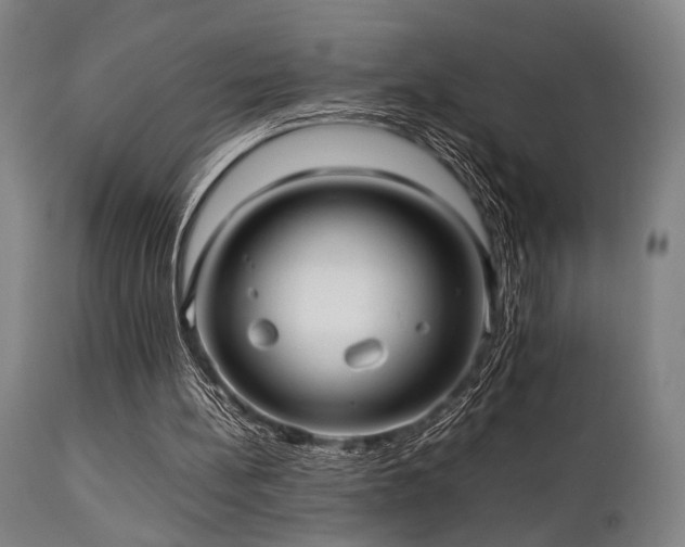 X0000112040148200908031525