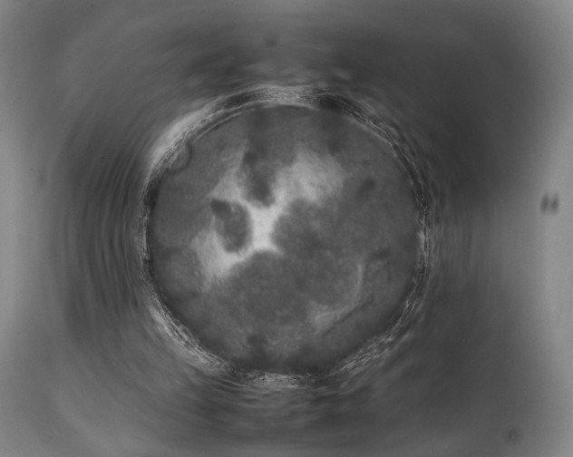 X0000112040149200908031525