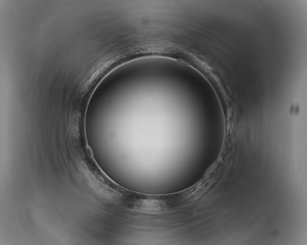 X0000112040154200908031525