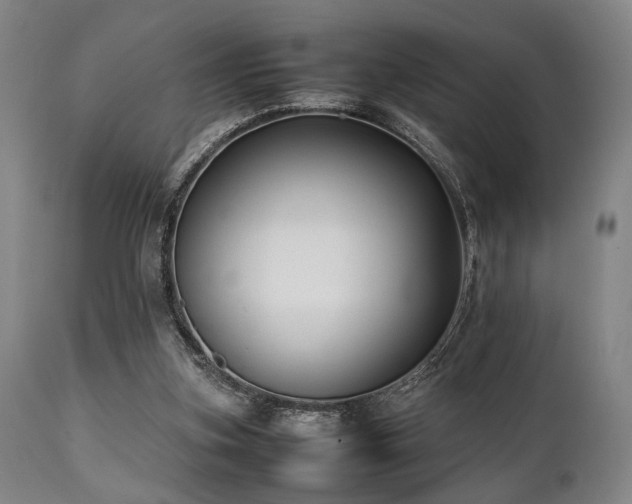 X0000112040155200908031525