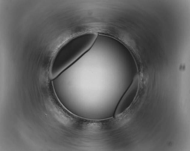 X0000112040156200908031525