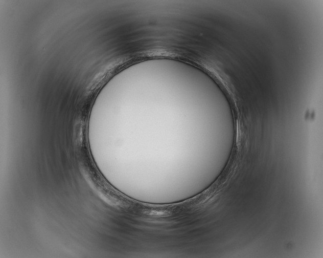 X0000112040157200908031525