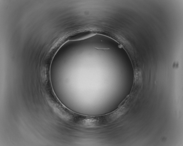 X0000112040158200908031525