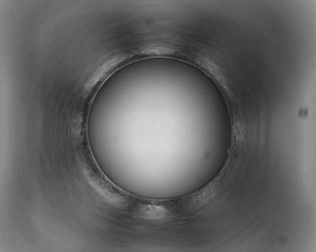 X0000112040159200908031525