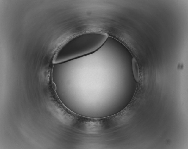 X0000112040160200908031525