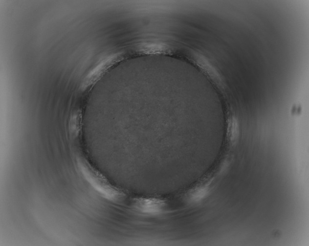 X0000112040165200908031525