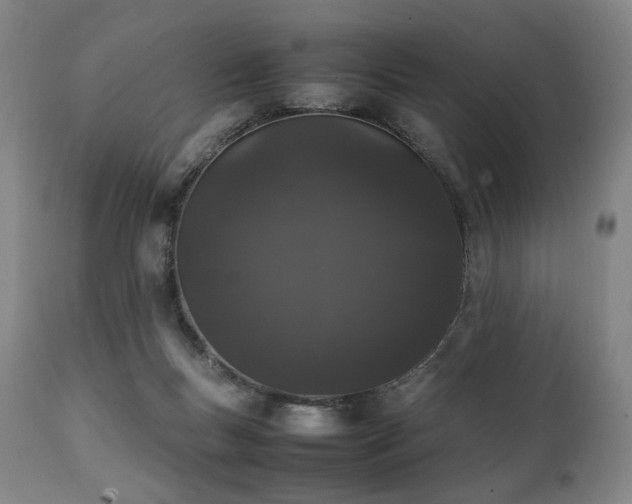 X0000112040167200908031525