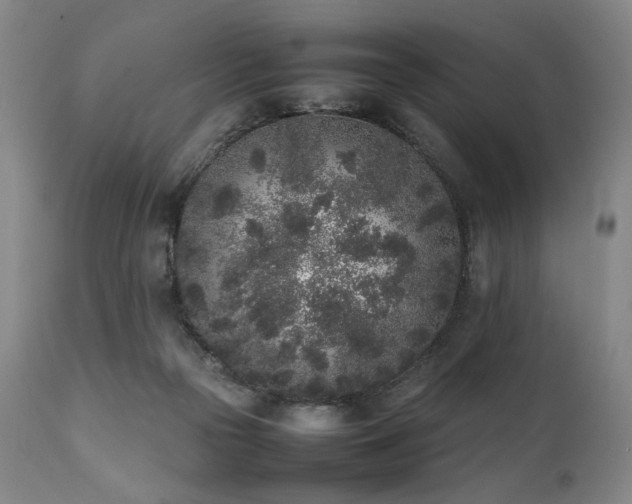 X0000112040169200908031525