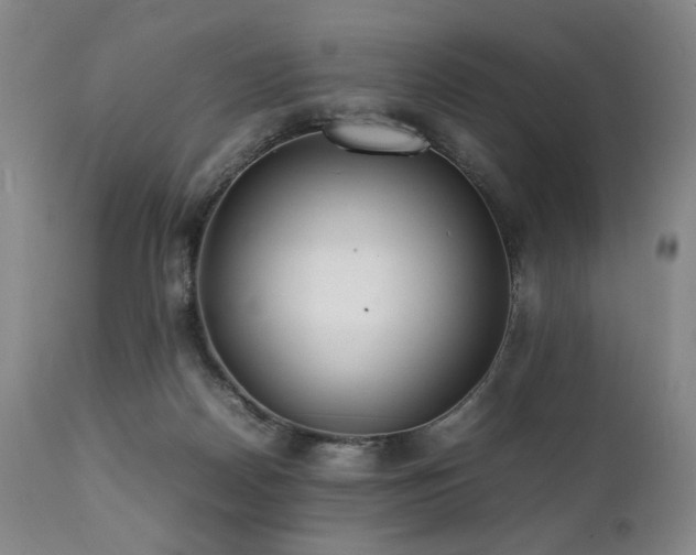 X0000112040170200908031525