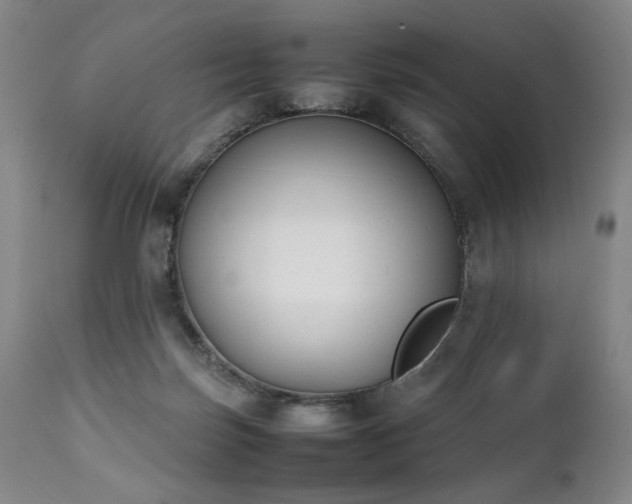 X0000112040171200908031525