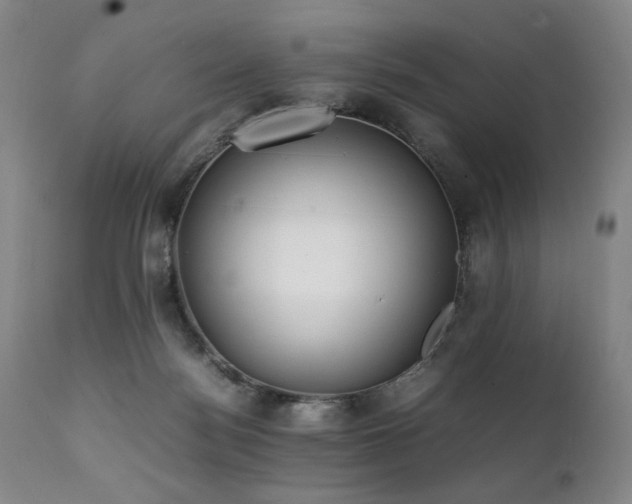 X0000112040172200908031525