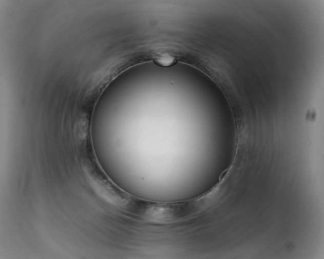 X0000112040174200908031525