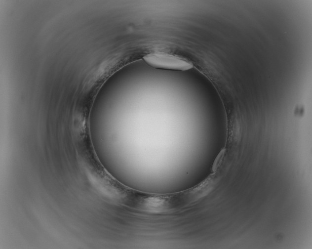X0000112040176200908031525