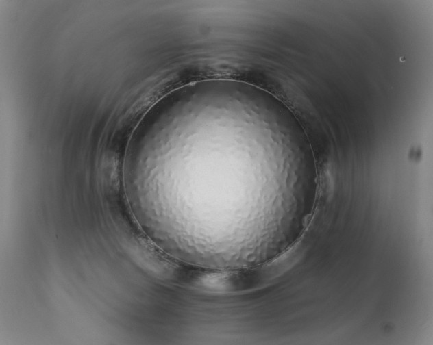 X0000112040178200908031525