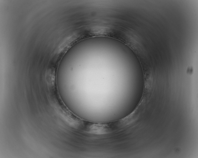 X0000112040179200908031525