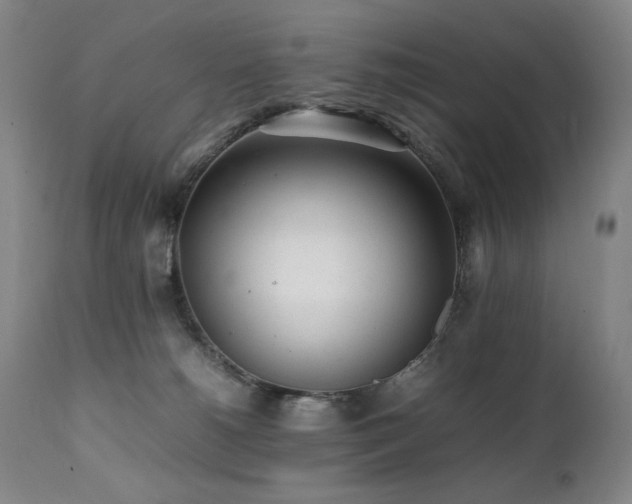 X0000112040180200908031525