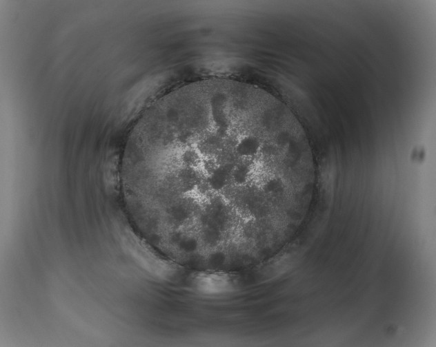 X0000112040181200908031525