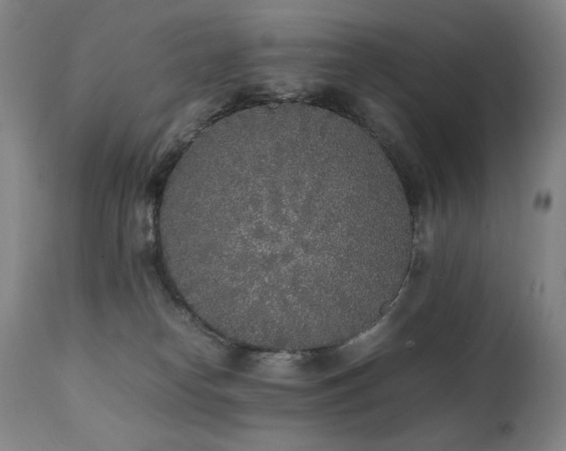 X0000112040182200908031525