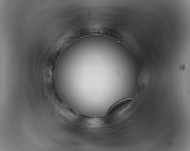 X0000112040183200908031525