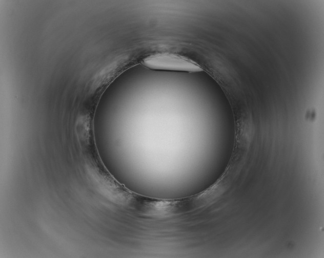 X0000112040184200908031526