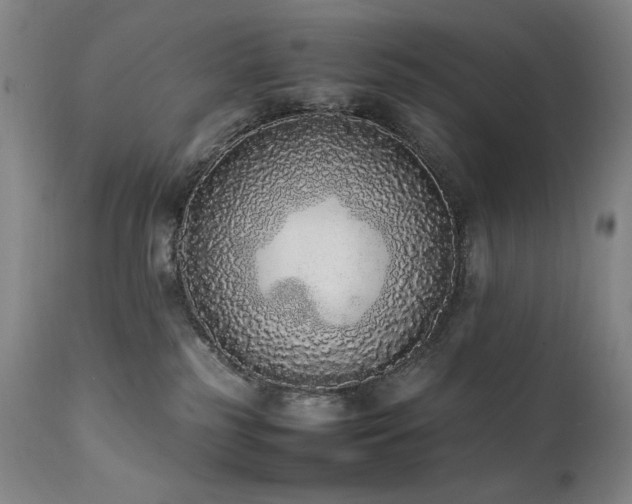X0000112040185200908031526