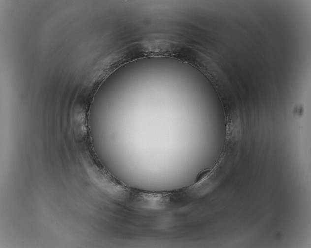 X0000112040187200908031526