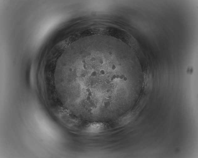 X0000112040189200908031526