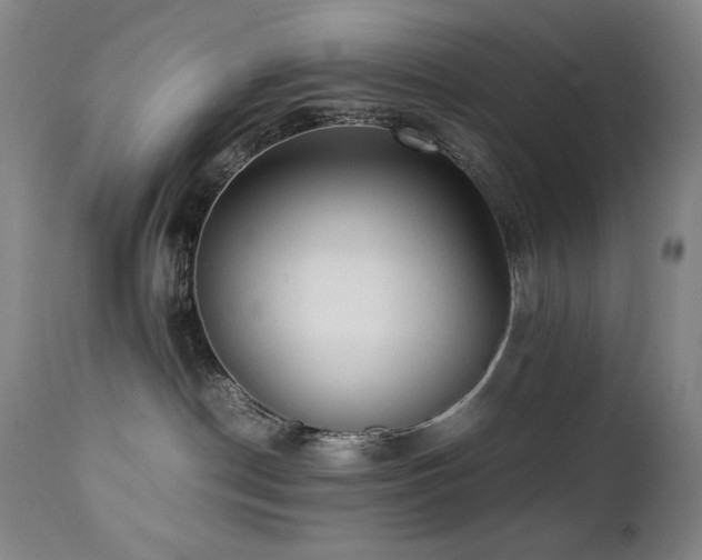 X0000112040190200908031526