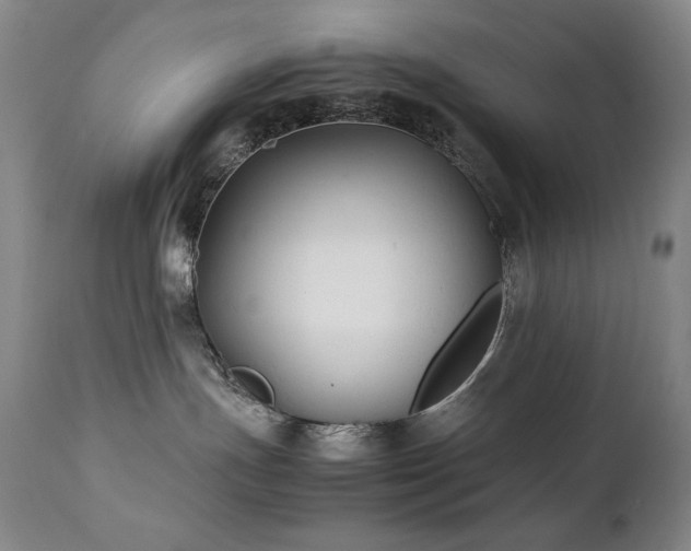 X0000112040191200908031526