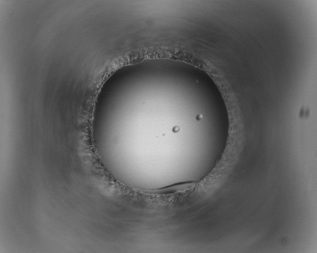 X0000112040192200908031526