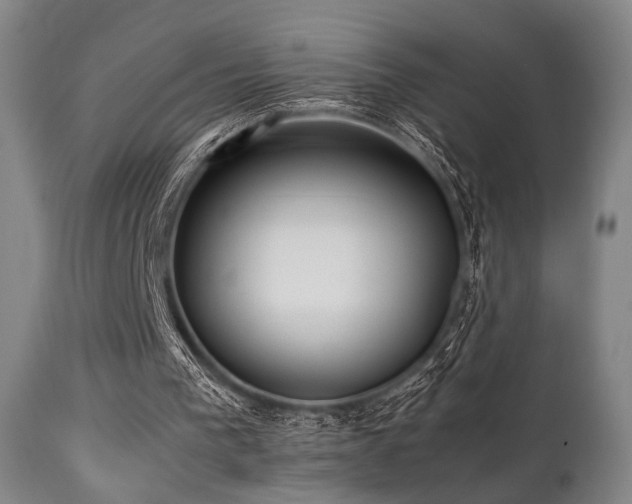 X0000112040193200908031525