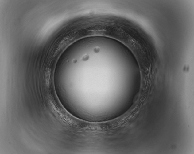 X0000112040194200908031525