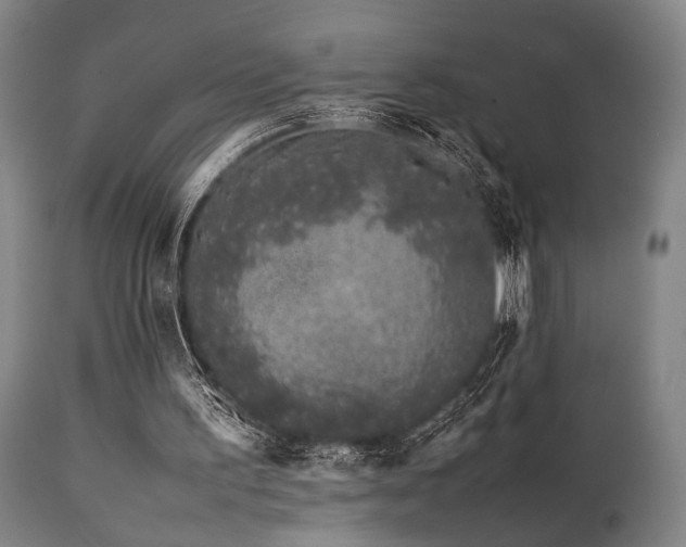 X0000112040195200908031525