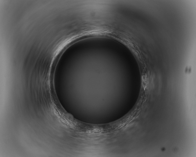 X0000112040196200908031525