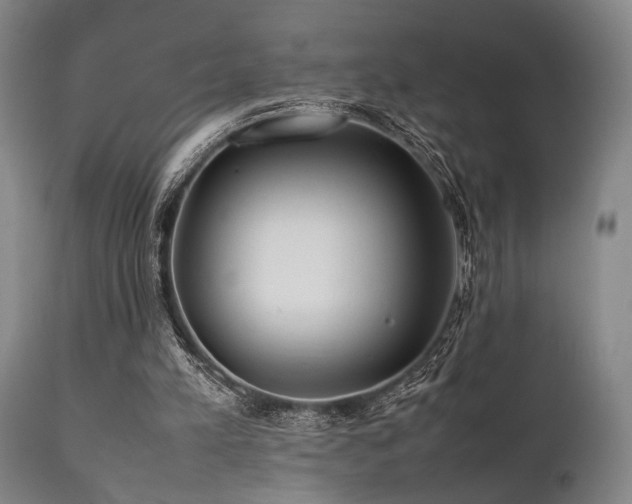 X0000112040197200908031525