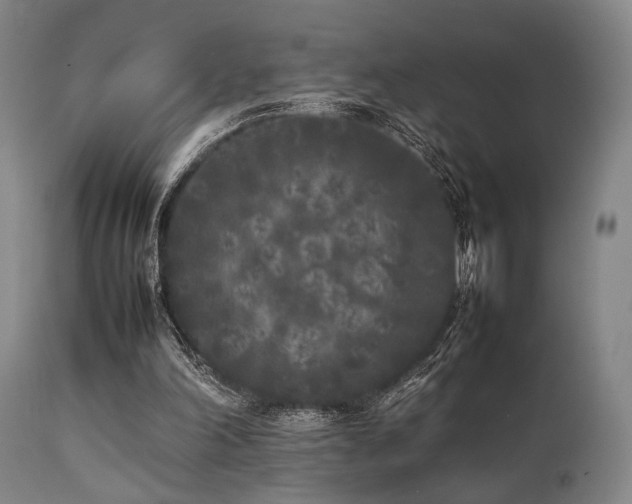 X0000112040198200908031525