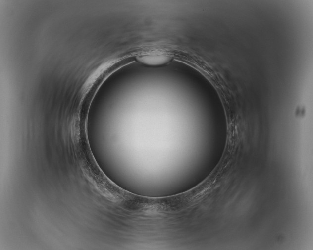 X0000112040200200908031525