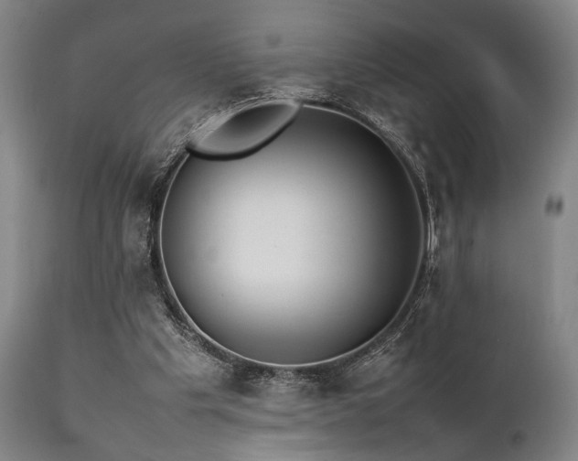 X0000112040201200908031525