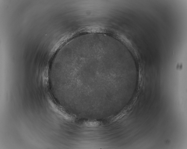 X0000112040202200908031525