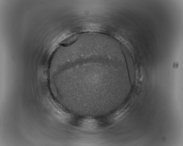 X0000112040203200908031525