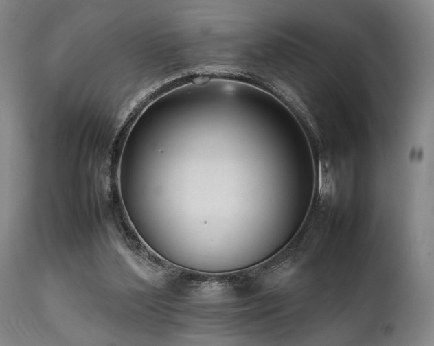 X0000112040204200908031525
