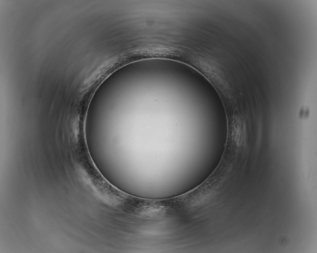X0000112040206200908031525