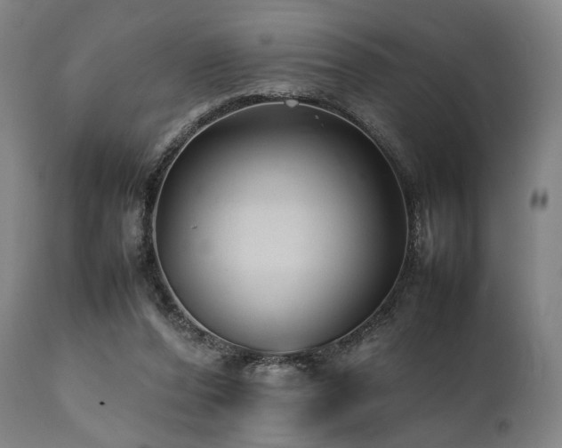 X0000112040208200908031525
