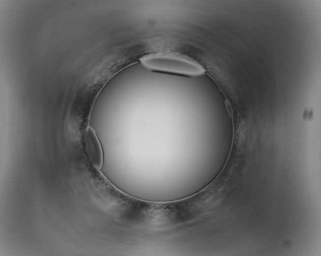 X0000112040209200908031525