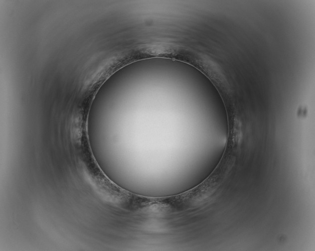 X0000112040210200908031525